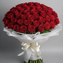 Букет 101 Красная роза Блэк Мэджик в Юность