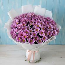 Букет цветов из:  Хризантемы в Юность