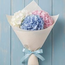 Букет цветов из:  Гортензия #REPLACE_PRED# Юность