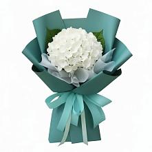 Букет цветов из:  Гортензия в Юность